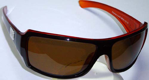 Georgiu1560 c03polarized