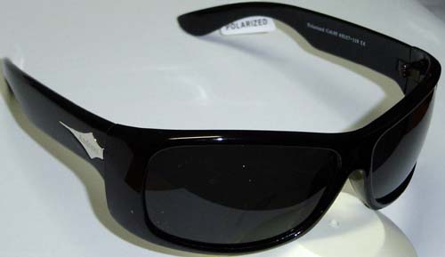 Georgiu1757 c.05 polarized