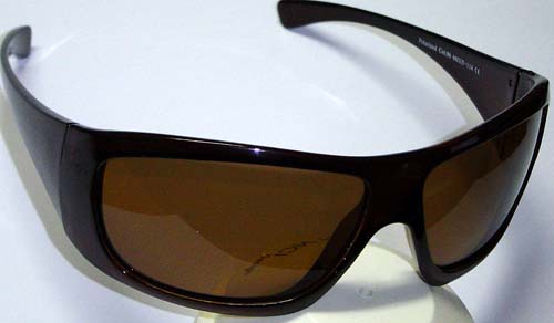 Georgiu1783 c.06 polarized